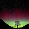 Sycamore Gap vandals face their fate in English court for felling beloved tree