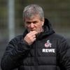 2. Fußball-Bundesliga: Berichte: Funkel soll Interimstrainer beim 1. FC Köln werden
