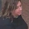Police hunt for woman who sexually assaulted male train worker as he walked through carriage