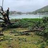 Tropensturm in Asien: Taifun „Kajiki“ wirbelt auf Vietnam zu - Schäden auf Hainan