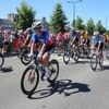 « Le peloton s’internationalise » : la course la Polynormande s’élancera d’Avranches dimanche