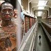 Unlocked: hidden Alcatraz chambers so hideous inmates MAIMED themselves... and the haunting horrors researchers still can't explain