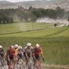 Del Toro becomes first Mexican to lead Giro d'Italia, Van Aert wins dusty stage