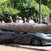 Italiaanse badplaats Rimini getroffen door noodweer: omgewaaide bomen en ondergelopen tunnels