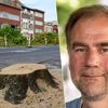 Ook Borgerhouts districtsbestuur verontwaardigd over bomenkap: “Transparantie en respect voor buurt ontbreken volledig”