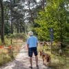 Bang voor de wolf? Valt mee, blijkt in Brams leefgebied. ‘In Spanje heb je beren, daar loop ik ook gewoon rond’