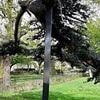 Tree that collapsed and killed girl, seven, and left another fighting for her life 'was held up by metal poles' before tragedy