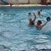 Water-polo. « Elles ont donné le maximum » : Laval dans le top 6