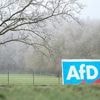 AfD als Mehrheitsbeschafferin: Wo die Brandmauer in Brandenburger Kreistagen Risse bekommt