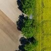 Landwirtschaft: Brandenburger Landpartie: Besucher können Bauernhöfe erleben
